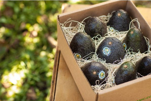 Top 5 Differences of our Organic Avocados