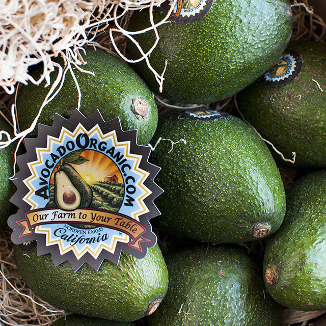 Premium California Avocados - 4 boxes